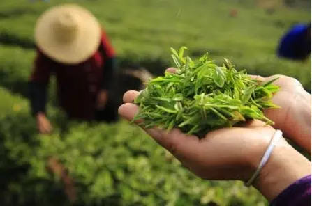 上海同城搭子新玩法：兴趣标签+MBTI匹配，精准找到你的灵魂搭子