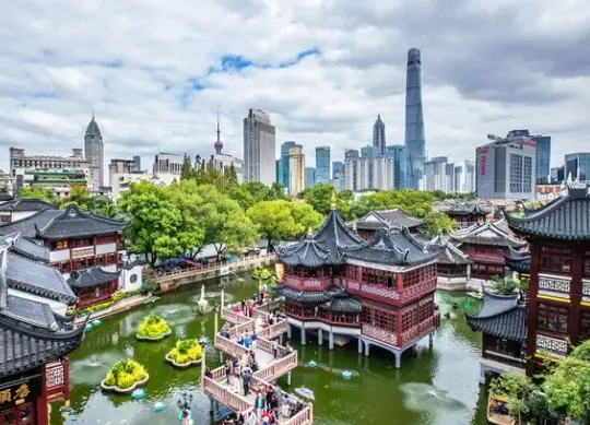 上海419魔都花园：沪上品茶工作室与茶空间选择的实用指南